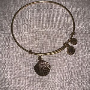 Alex and Ani Bangle